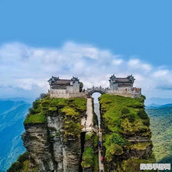 植物大战僵尸2天空之城第8天通关攻略深度解析