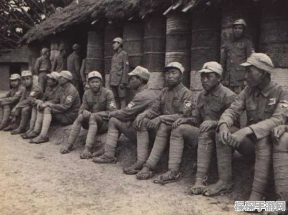 手游资讯，揭秘哪些兵种对中甲单位伤害最大化策略