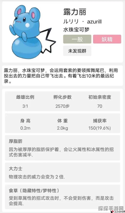 手游资讯，口袋妖怪黑2玛力露丽高效配招策略解析