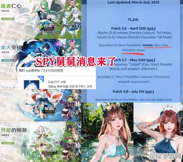 原神纳塔珍贵华丽宝箱位置全揭秘，探险家们的终极指南