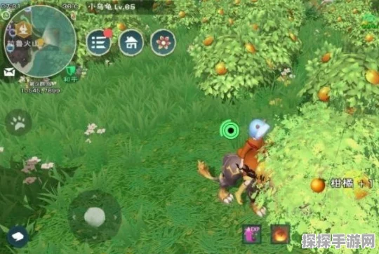 创造与魔法，柑橘背后的神奇功能大揭秘