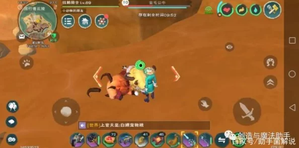 创造与魔法，柑橘背后的神奇功能大揭秘