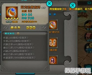 太极熊猫闪避套装攻略，助你轻松登峰造极