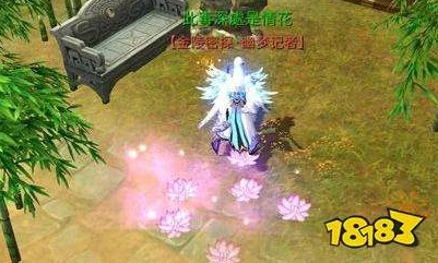 天涯明月刀手游，莲花带盘子玩法全揭秘，助你称霸江湖