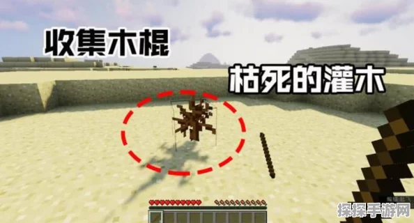 我的世界未受信任？完美解决秘籍在此！