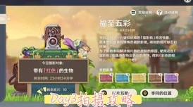 原神红色生物拍照任务速通攻略，轻松解锁成就