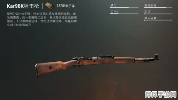 手游资讯，刺激战场枪械选择深度解析——为何这把枪成为我的心头好