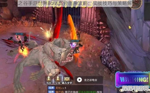 龙之谷手游，终极攻略揭秘，如何轻松击败冷酷的冰龙Boss
