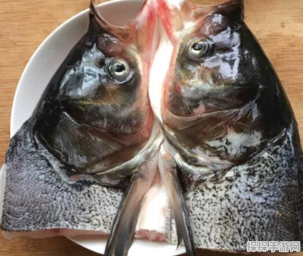 食物语中剁椒鱼头的实力究竟如何？技能全解析与培养价值评估