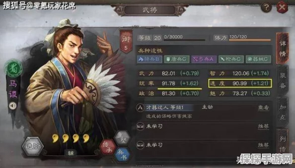 三国志贾诩传，自定义武将与特级皮肤深度解析