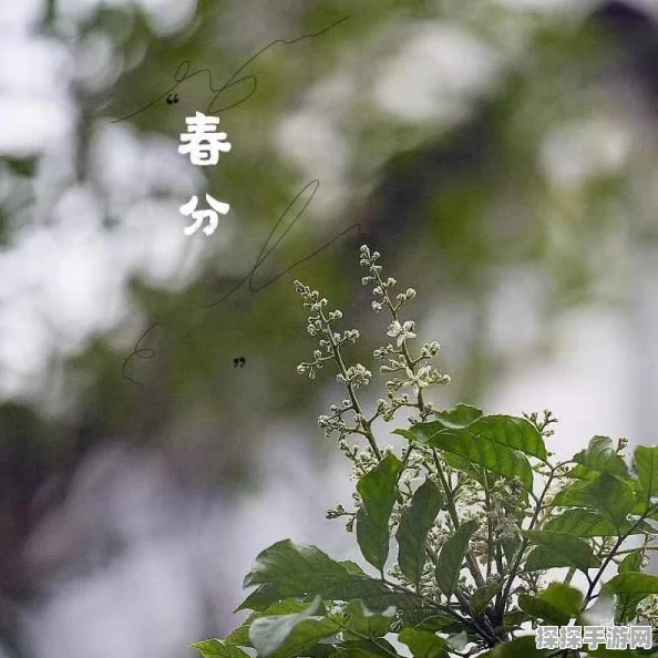 手游资讯，烟雨江湖祝融拳套获得途径全解析