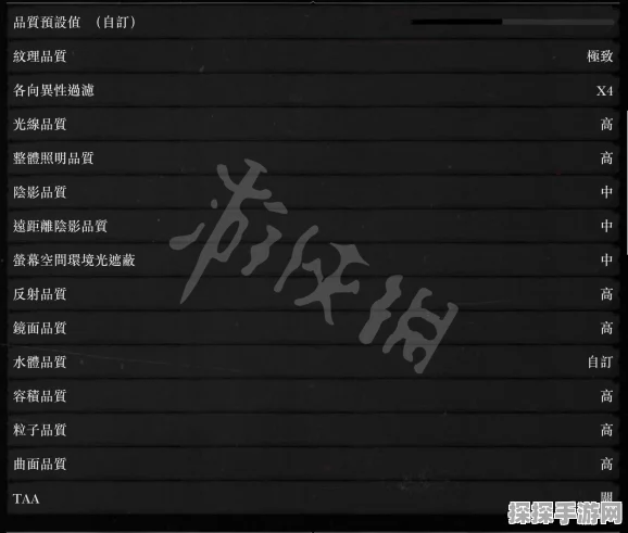 潜行者2闪退问题全面解析与解决方案