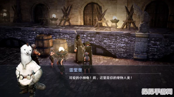 黑色沙漠手游宠物小神龟获取全攻略
