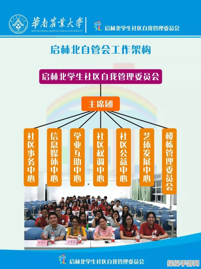桃源深处有人家邻里招新活动深度解析，共筑和谐美好社区新篇章