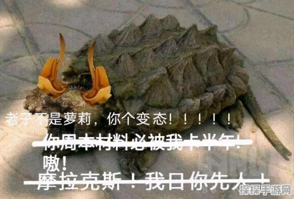 原神手游资讯，全面解析旅者请留步成就达成攻略