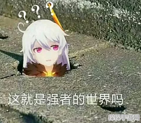 崩坏3舰团发展全攻略，携手并进，共创辉煌
