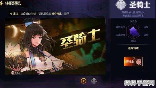 DNF手游圣职者职业深度解析，除圣骑士外的优选推荐