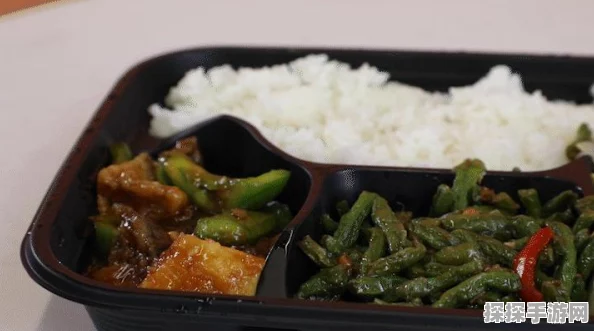 手游资讯，探索我的世界食物工艺，揭秘地三鲜饭制作秘籍