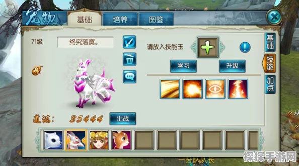 诛仙手游宠物技能刺耳完美搭配策略及实用推荐指南