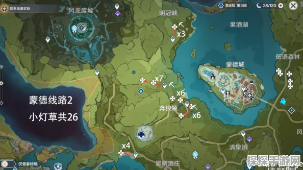 原神 4.1 小灯草采集秘籍，全面位置与高效路线图