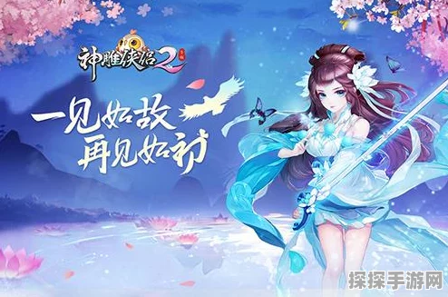 神雕侠侣手游，侠客运用秘籍与精妙搭配攻略