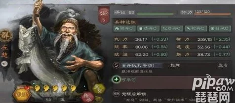 三国志战略版震撼更新，程普左慈T0新阵容席卷战场，稳定制霸主流队伍！