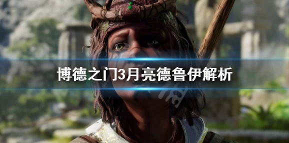 博德之门3德鲁伊职业深度解析，多变形态引领战斗新风尚