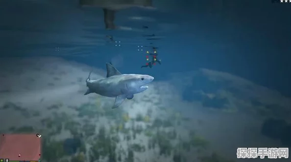 GTA 5 大白鲨捆绑包，探索虚拟海洋的终极冒险指南
