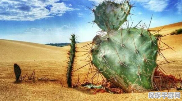 植物大战僵尸OL沙漠地图深度攻略与手游资讯