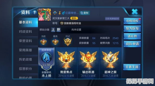 王者荣耀隐身设置全面解析，轻松掌控你的在线状态与游戏隐私