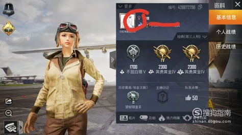 和平精英昵称修改全攻略，轻松打造个性化游戏身份