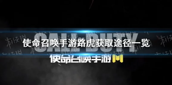 使命召唤手游午夜派对转盘，价格全解析与惊喜揭秘