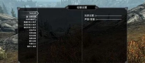 上古卷轴 5 版本抉择秘籍，哪个版本性价比最高？