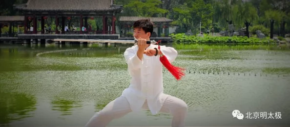 剑舞烟雨，深度探秘韵律中的神秘威力