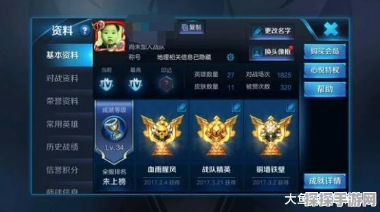 王者荣耀铂金段位连胜后的神秘挑战，玩家遭遇坑比队友现象解析