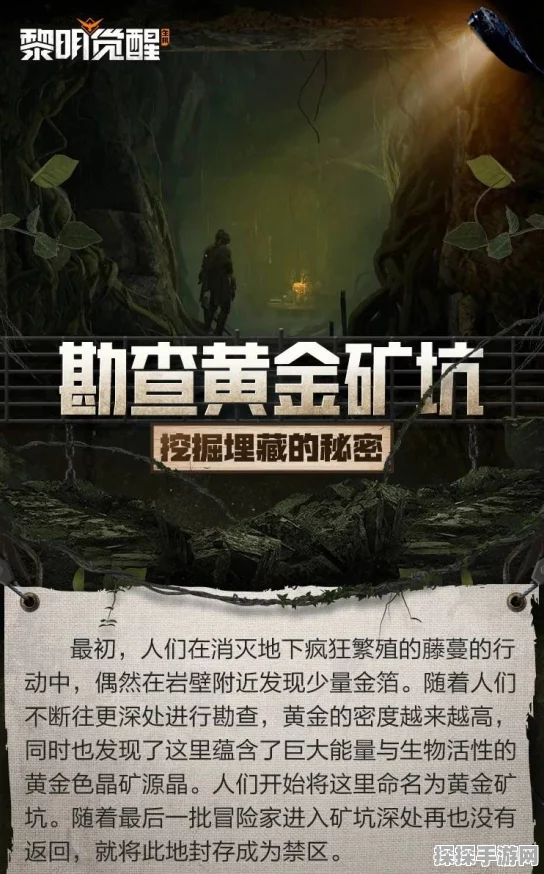 魔兽世界手游版金矿秘闻，偷金之谜深度揭秘