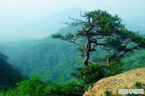 光遇新季节，巨石与入口同框拍摄秘籍