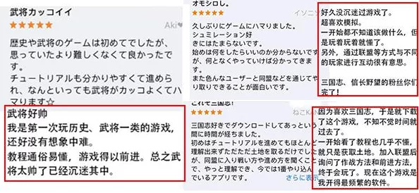 三国志战略版官服深度解析，正版服务器的魅力所在