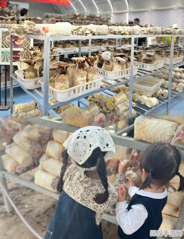 迷你世界美食之旅，蜂蜜蛋糕的神秘合成秘籍大公开