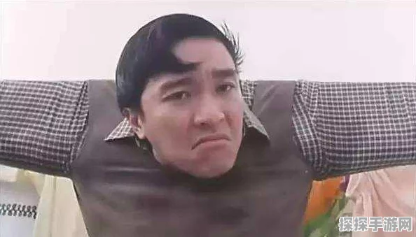 超级达人偷吃的大嫂通关秘籍，解锁手游新挑战