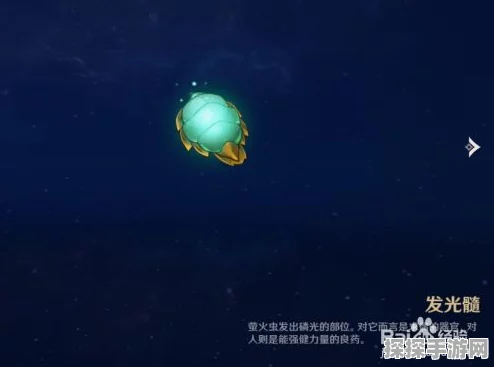 原神发光髓寻觅全攻略，珍稀材料获取秘籍大公开