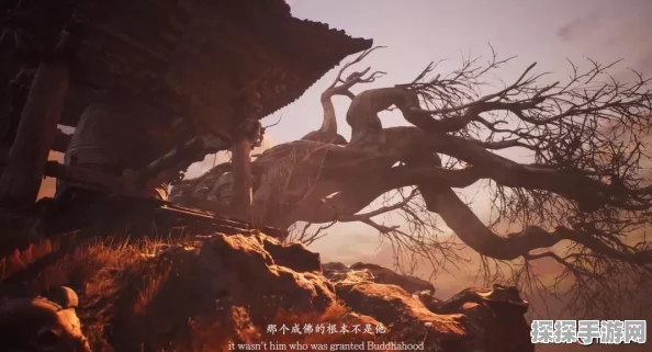 手游资讯，揭秘黑神话，悟空第13难成就解锁秘籍