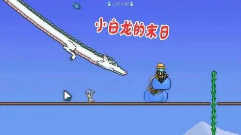泰拉瑞亚小白龙召唤攻略与战斗策略全解析