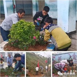 保卫萝卜3园丁进阶全攻略