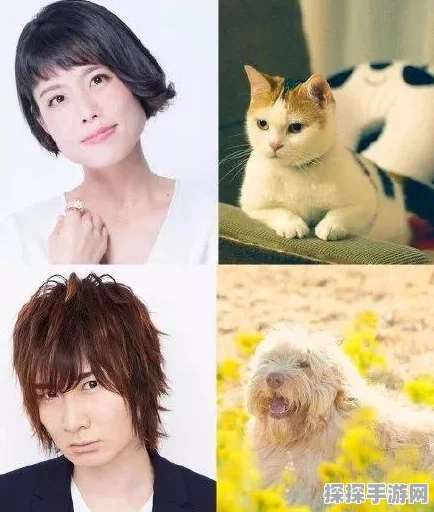 手游资讯，王者荣耀新英雄苍震撼上线