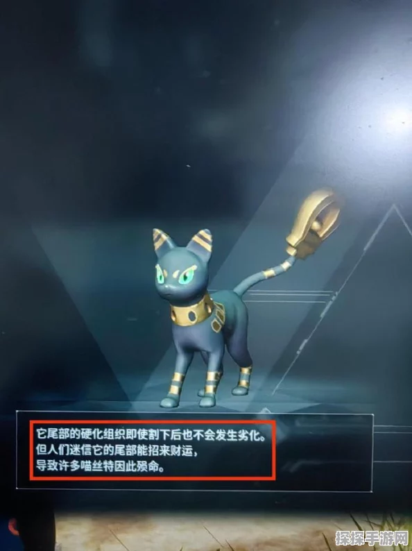 幻兽帕鲁传说新词条解锁，探索未知世界的钥匙