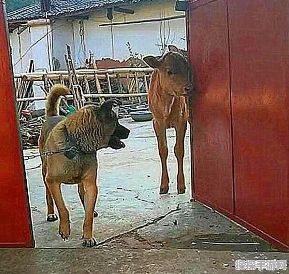 NS怪物猎人手游，偷跑玩法全揭秘，抢先体验狩猎盛宴