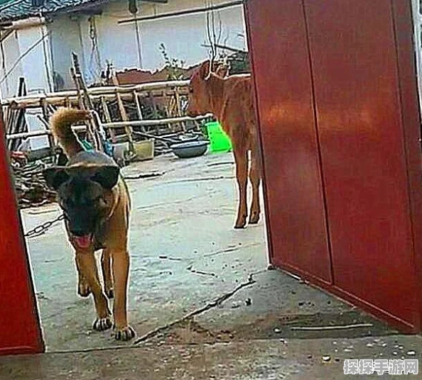 NS怪物猎人手游，偷跑玩法全揭秘，抢先体验狩猎盛宴