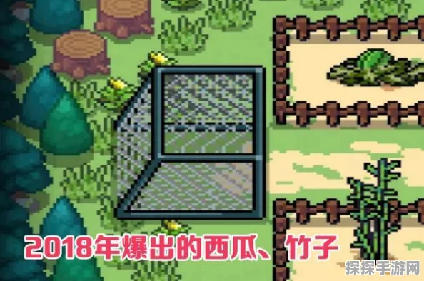 元气骑士新增特色道具，竹子的多重用途与详解