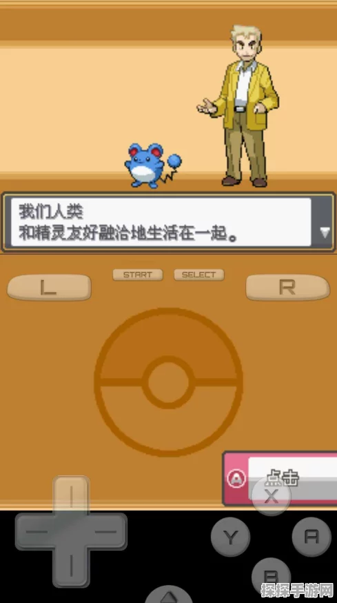 口袋妖怪心金宠物搭配全攻略